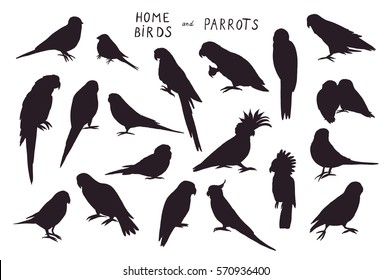 parrots birds silhouette set