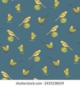Parrots budgerigar birds pets vector seamless pattern.