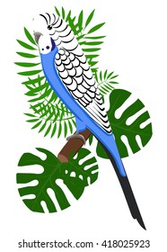 Parrots Cartoon Illustration. Parrot set Exotic birds bird of paradise Bird tropical leaves