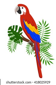 Parrots Cartoon Illustration. Parrot set Exotic birds bird of paradise Bird tropical leaves