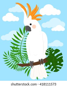 Parrots Cartoon Illustration. Parrot set Exotic birds bird of paradise Bird collection tropical leaves