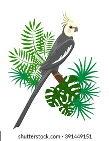 Parrots Cartoon Vector Illustration. Exotic birds 
