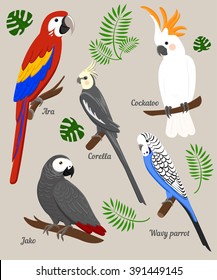 Parrots Cartoon Vector Illustration. Parrot set Exotic birds 