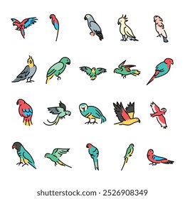 Parrots color icons set. Editable stroke.Vector elements