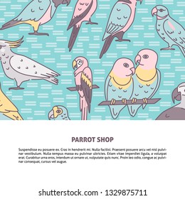 Parrots colored background in line style with place for text