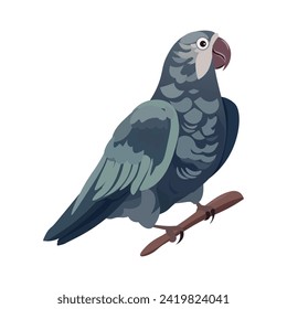 Parrots of colorful set. This illustration is a visual treat, showcasing the intricate details of a stunning and colorful parrot Ara in a whimsical cartoon style. Vector illustration.