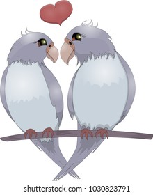Parrots couple love