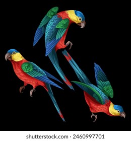 Parrots in different poses isolated. Vector