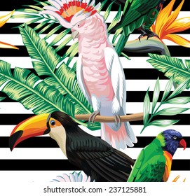 parrots exotic floral seamless background