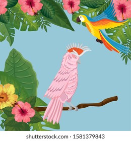 parrots with flowers and leafs tropicals vector illustration design