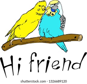Parrots are good friends