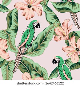 Parrots, green banana palm leaves, pink hibiscus flowers, blush background. Vector floral seamless pattern. Tropical illustration. Exotic plants, birds. Summer beach design. Paradise nature