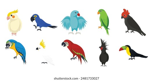 Parrots Illustration Element Collection Set