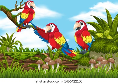 parrots in jungle scene illustration