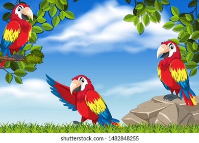 Parrots in jungle scene illustration