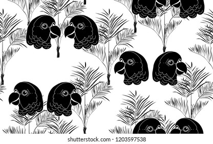 Parrots and kentia palms pattern. Vector illustration. Botanical seamless wallpaper. Digital nature art. Cartoon style sketch. White background.