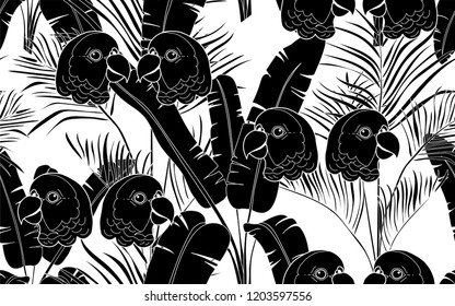 Parrots and kentia palms pattern. Vector illustration. Botanical seamless wallpaper. Digital nature art. Cartoon style sketch. White background.