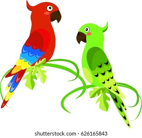 parrots on a white background