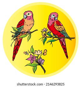 Parrots on yellow art vector for card, illustration, background