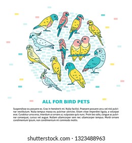 Parrots round concept banner in line style with text