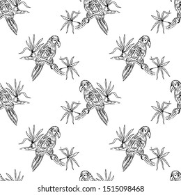 Parrots Seamless pattern. Line drawing. Vector illustration.