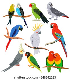 parrots set