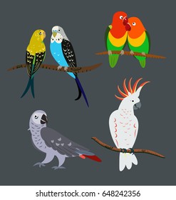 parrots set