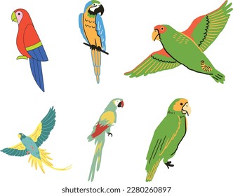 Parrots set. Colorful parrots isolated on white background. Vector illustration.