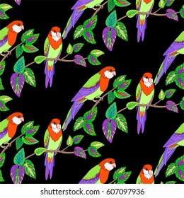 Parrots sit on branches with tropical leaves floral seamless pattern.