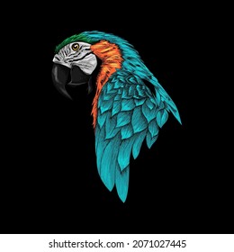 Parrots vector illustration with black background