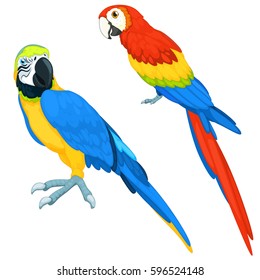 parrots vector set