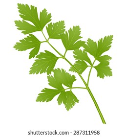 parsley