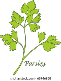 Parsley