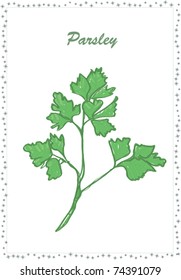 parsley