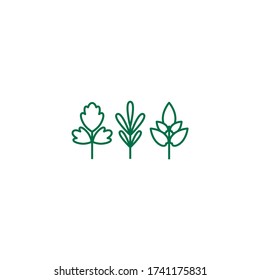 parsley,  basil and thyme. set of white line twigs, shoots, sprigs isolated on white. agriculture, nature, ecology, healthy organic and farm fresh food. Vector Illustration. kitchen herbs