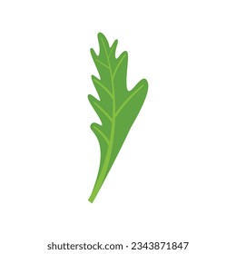 Vector plano de icono de parsley. Hojas de hierba. Alimentos para ensaladas aislados