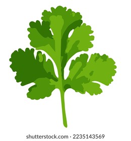 Parsley or cilantro leaf icon. Flat vector isolated on white background.