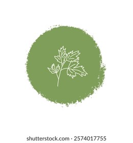 Parsley culinary herb label. Hand drawn badge. Vector hand drawn doodle illustration isolated on white background.