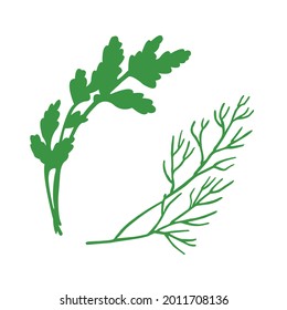 Parsley and dill in a flat doodle style. Vector plants