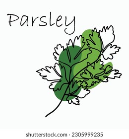 Parsley drawn in one line style with green spots. Vector illustration