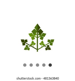 Parsley Flat Icon