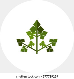 Parsley Flat Icon