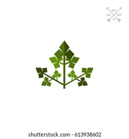 Parsley Flat Icon