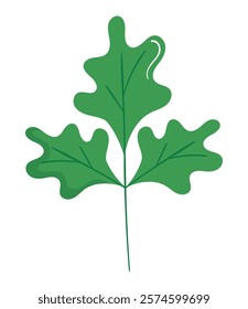 parsley fresh icon isolated design