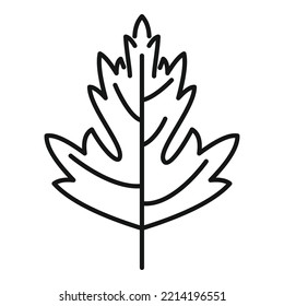 Vector de contorno de icono de parsley garnish. Planta de hierbas. Mordedura de la hoja