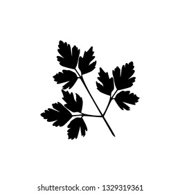 Parsley glyph icon. Vector illustration.