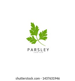 Parsley. Green Leaf Parsley Design Vector Illustration