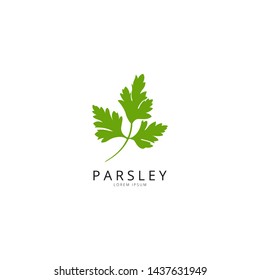 Parsley. Green Leaf Parsley Design Vector Illustration