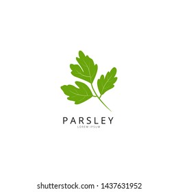Parsley. Green leaf parsley design vector illustration
