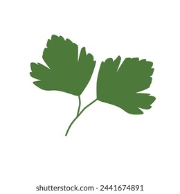 Parsley, healthy green, vector flat illustration. Healthy food and vitamins. 